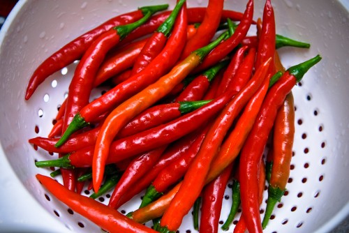 20090823 - Cayenne Peppers 20090823 - Cayenne Peppers